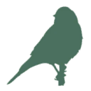 Hanflinge Coupon Codes